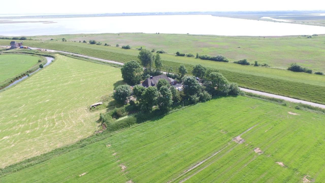Ferienwohnung Diekblick - Kleiner Deichhof Hattstedtermarsch Eksteriør bilde